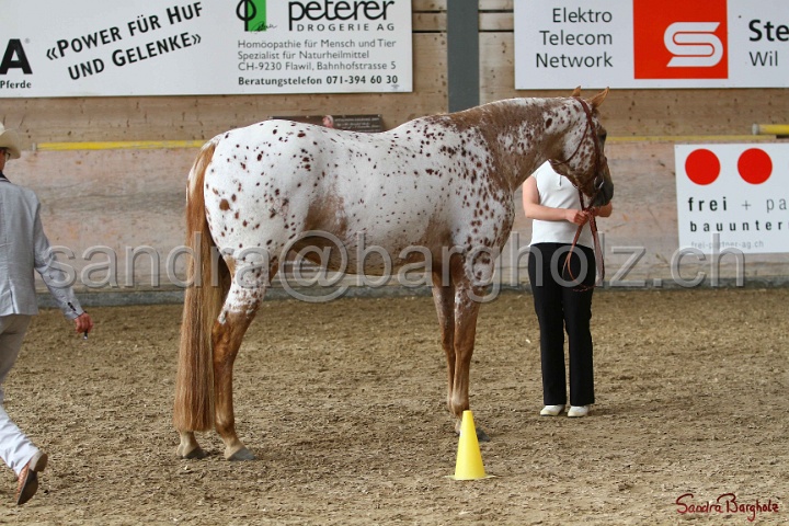 24-ApHC HIH_045.jpg